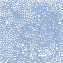 0146 Toho 11/0 св.сапфир/перл бисер круглый (аналог Mill Hill 00146 Light Blue)