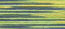9006 мулине Cosmo меланж Seasons