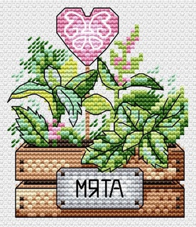 Мята