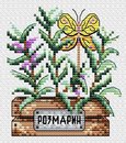 Розмарин