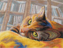 Кот-книголюб (29*23см)