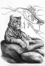 Могучий тигр (скетч для раскрашивания 29.5*20.5 см)