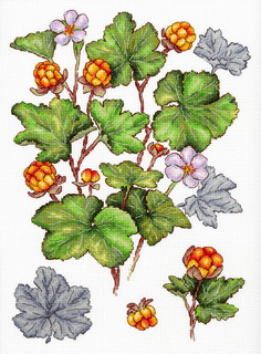 Морошка (28*19 см)
