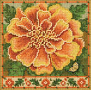Календула (Marigold (2026)) (13.2*13.2 см)